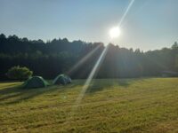 Sýkorky zakončily školní rok na Kopretinové louce