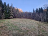 33. smečka v Sázavském údolí