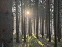 1CHs – Vánoční výprava