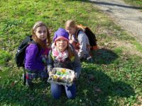 Světlušky hledaly probouzející jaro