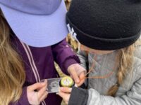 Vážky a Sovičky v Moravské Třebové