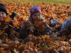 dsc_1094.jpg