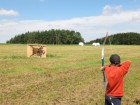 img_2240